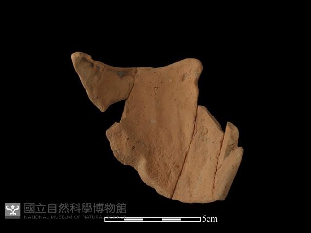 連杯形器藏品圖，第3張