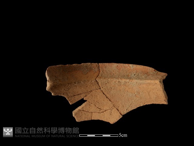陶罐藏品圖，第3張