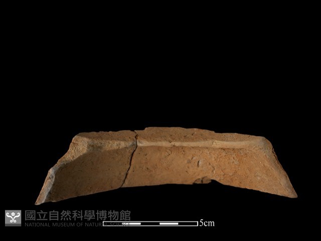 陶片藏品圖，第1張