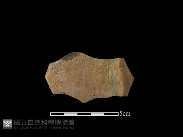 陶片藏品圖，第1張