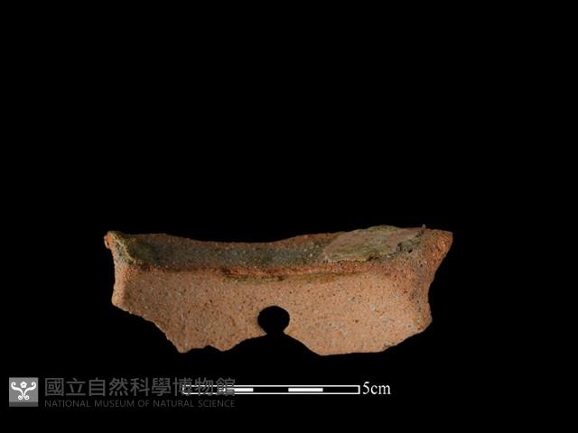 陶片藏品圖，第3張