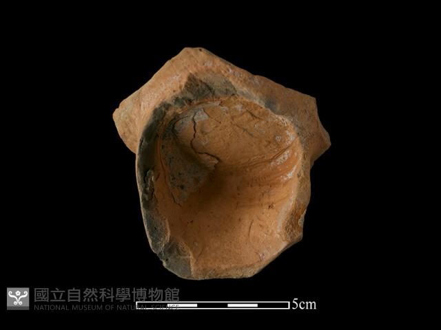 陶片藏品圖，第3張