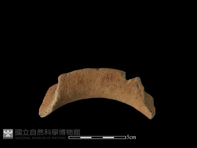 陶罐藏品圖，第3張