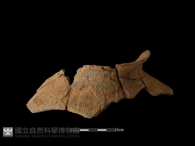 陶罐藏品圖，第3張