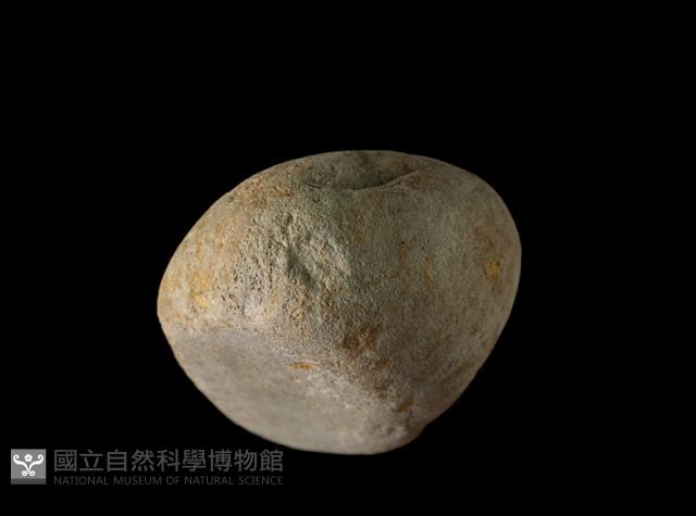 Accession Number:AHR336-2017-007 Collection Image, Figure 3, Total 4 Figures