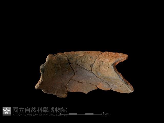 陶罐藏品圖，第3張