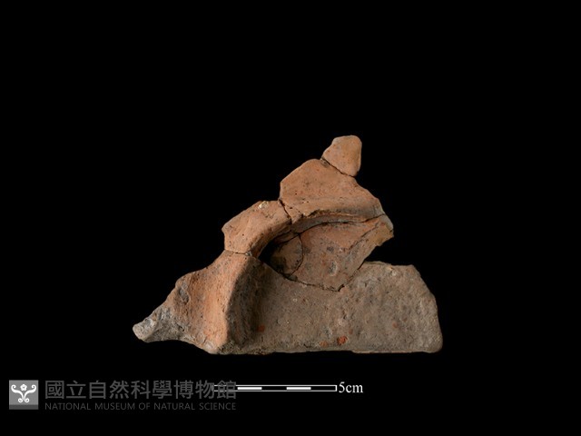 連杯形器藏品圖，第3張