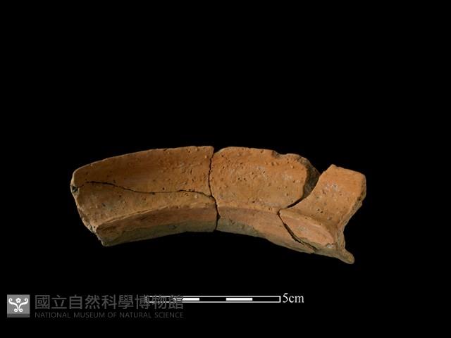 陶罐藏品圖，第1張