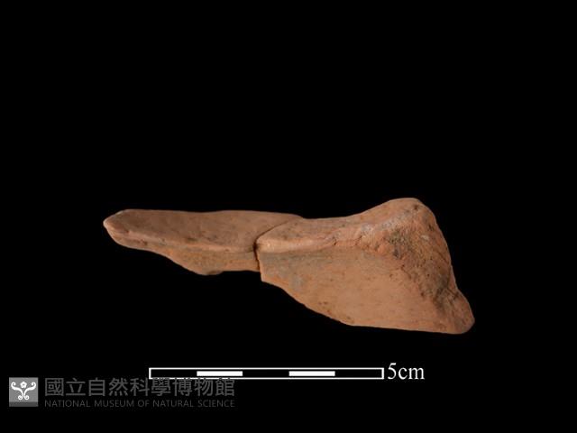 陶片藏品圖，第3張