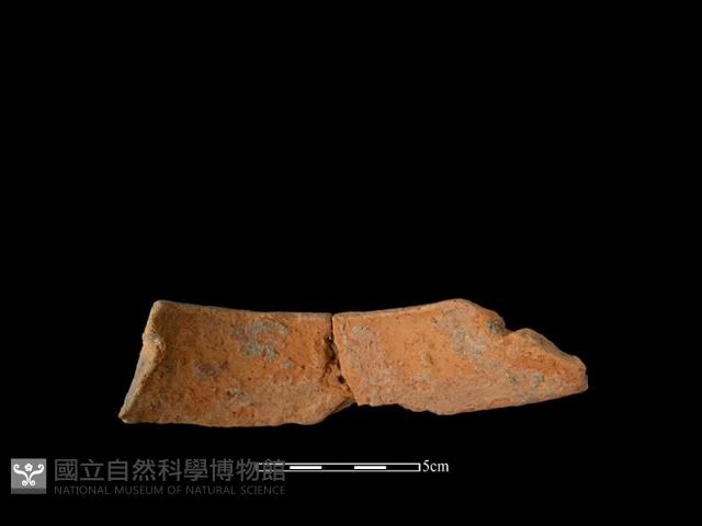 陶片藏品圖，第3張