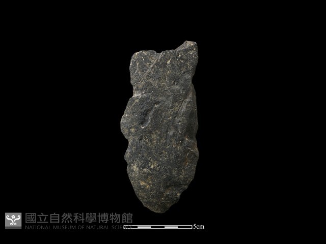 石片藏品圖，第3張