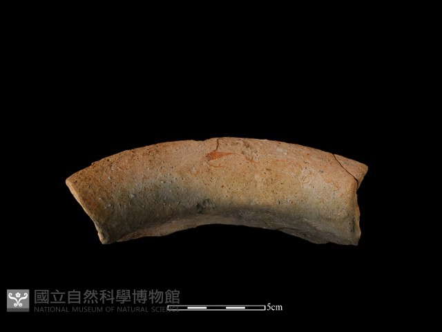 陶罐藏品圖，第3張