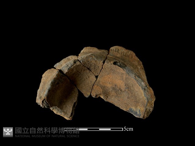 陶片藏品圖，第1張