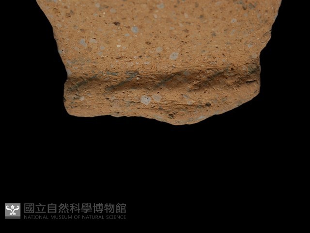 陶罐藏品圖，第3張