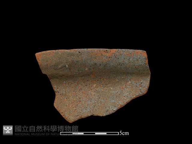 Accession Number:BY-2017-0618 Collection Image, Figure 3, Total 3 Figures