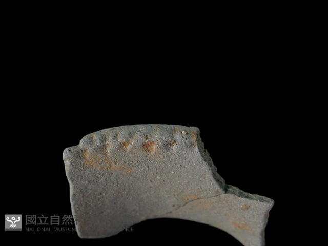 陶罐藏品圖，第3張