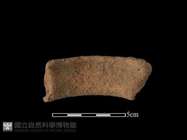 陶罐藏品圖，第3張