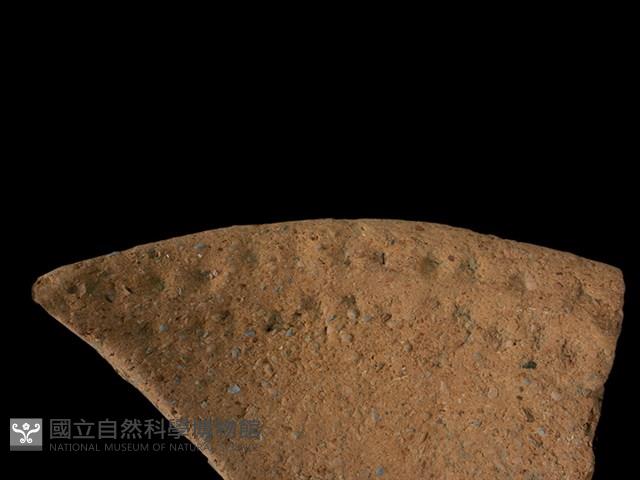 陶罐藏品圖，第3張