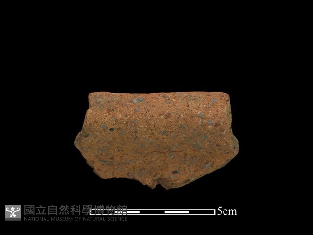 陶罐藏品圖，第3張