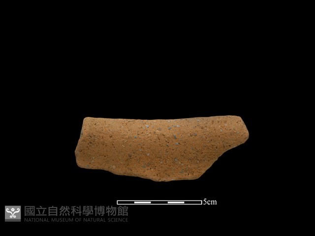 陶罐藏品圖，第3張
