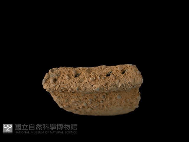 陶缽藏品圖，第3張