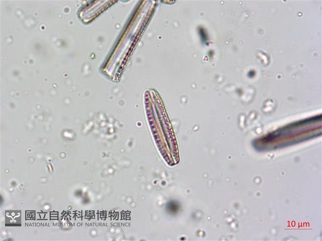 登錄號:A00004622藏品圖，第5張