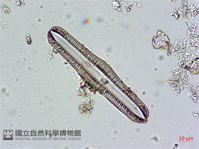 登錄號:A00004672藏品圖，第5張
