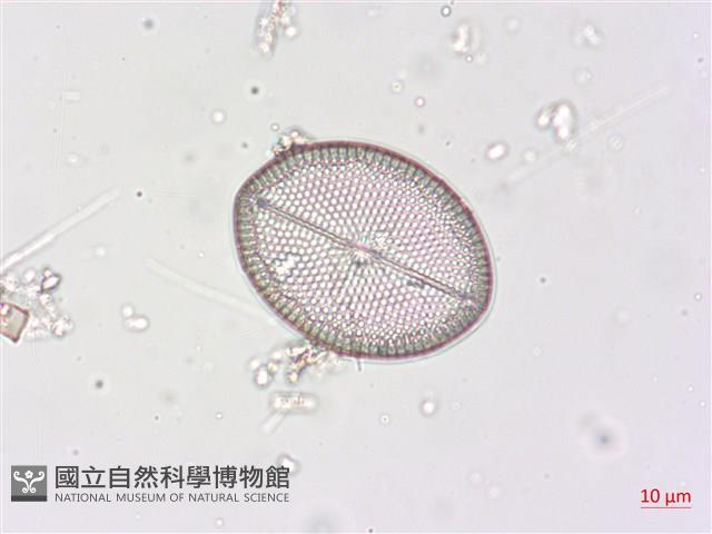 登錄號:A00004512藏品圖，第5張