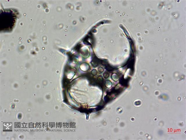 館號:A00004642藏品圖，第6張