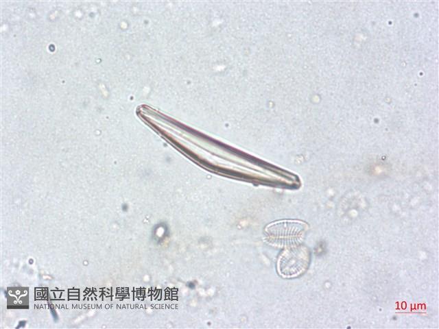 登錄號:A00004502藏品圖，第5張