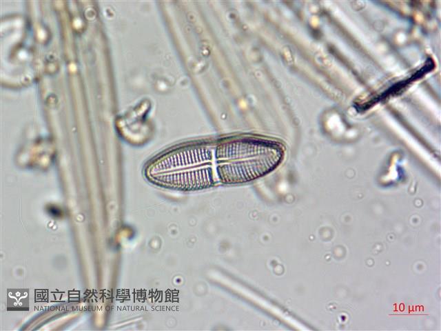 登錄號:A00004638藏品圖，第5張