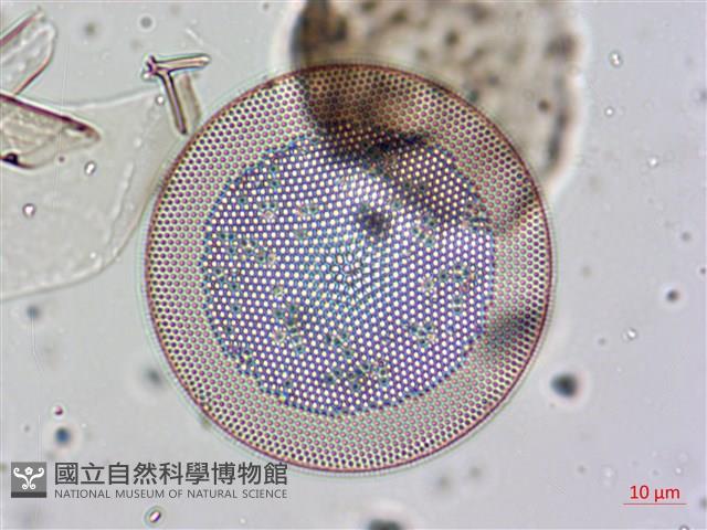 登錄號:A00004658藏品圖，第5張