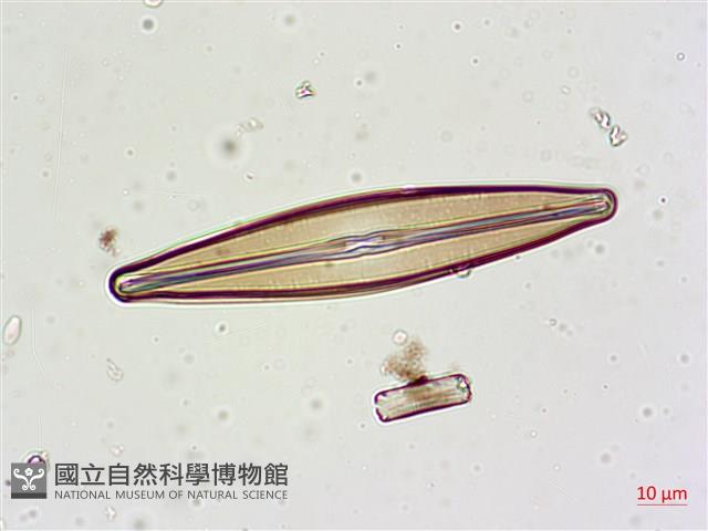 登錄號:A00004628藏品圖，第5張