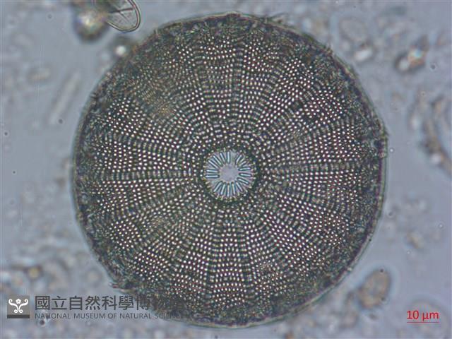 登錄號:A00004528藏品圖，第5張