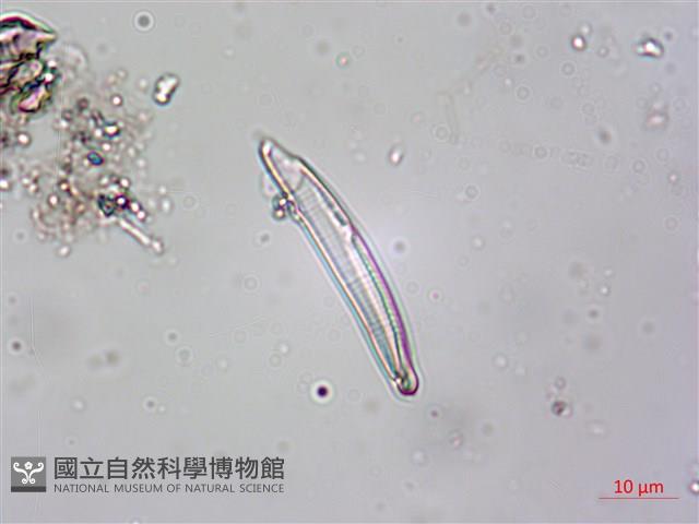登錄號:A00004618藏品圖，第5張