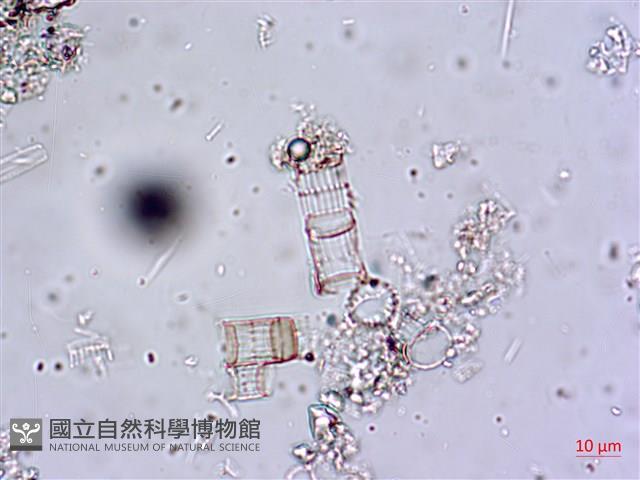 館號:A00004648藏品圖，第5張