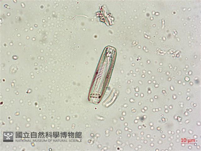 登錄號:A00004548藏品圖，第5張