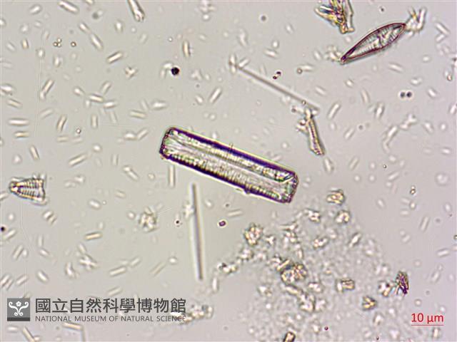 登錄號:A00004668藏品圖，第5張