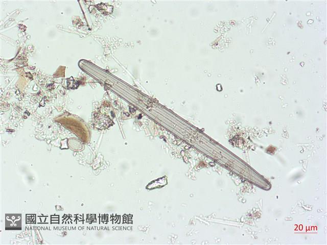 登錄號:A00004508藏品圖，第5張