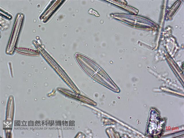 登錄號:A00004639藏品圖，第5張