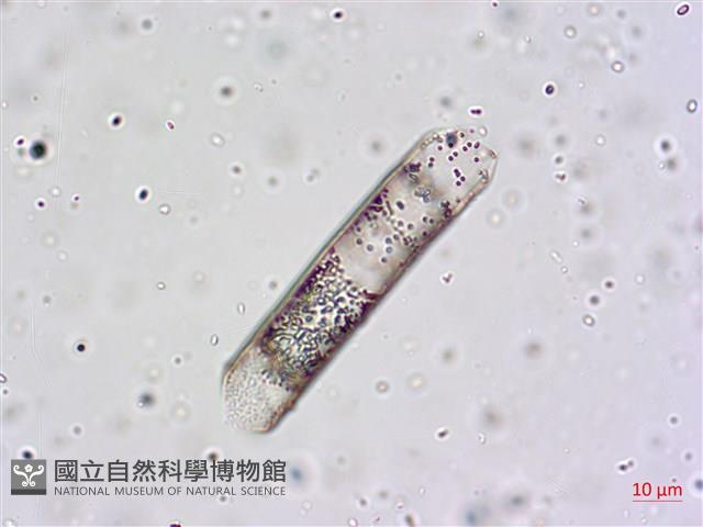 登錄號:A00004659藏品圖，第5張