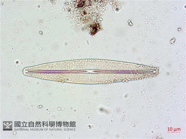 登錄號:A00004629藏品圖，第5張