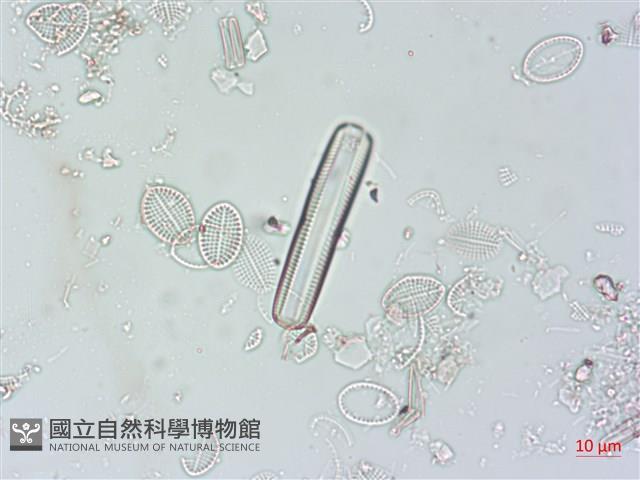登錄號:A00004499藏品圖，第5張