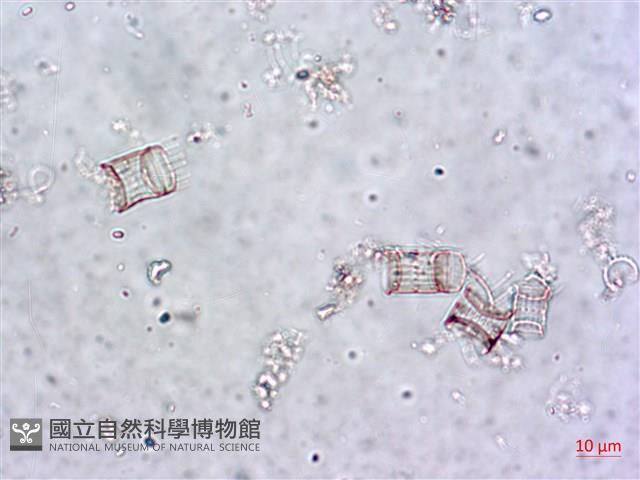 登錄號:A00004649藏品圖，第5張