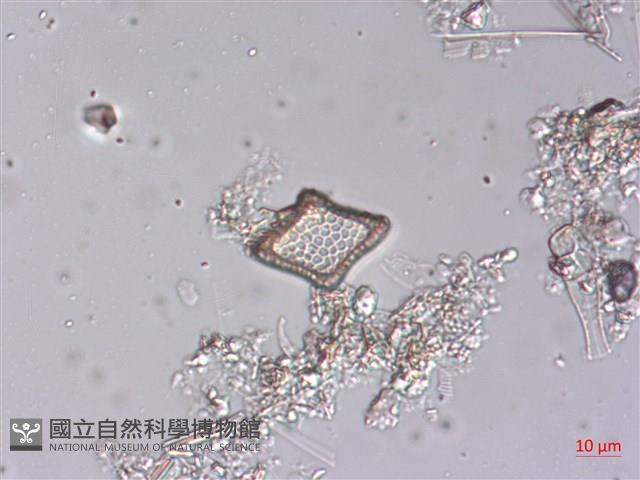 登錄號:A00004489藏品圖，第5張