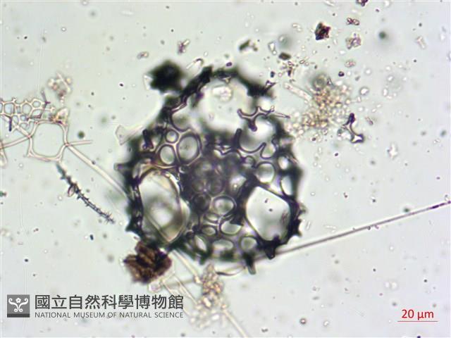 登錄號:A00004656藏品圖，第5張