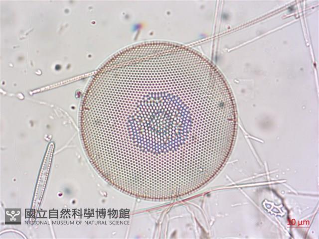 登錄號:A00004654藏品圖，第5張