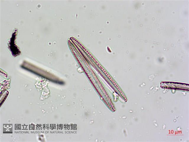 登錄號:A00004624藏品圖，第5張