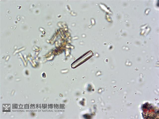 登錄號:A00004674藏品圖，第5張