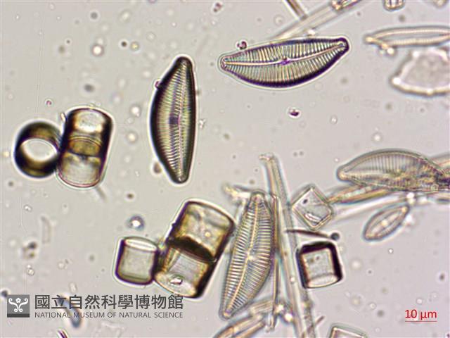 登錄號:A00004574藏品圖，第5張